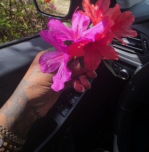 Meet your Posher, Lashonda